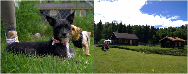 ritasolplassen