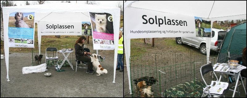 solplmess
