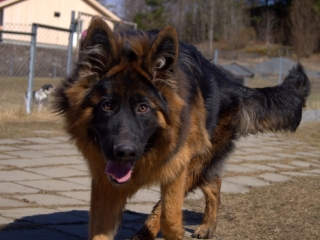 dsc05008-arw_