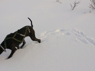 mms_img-253405951