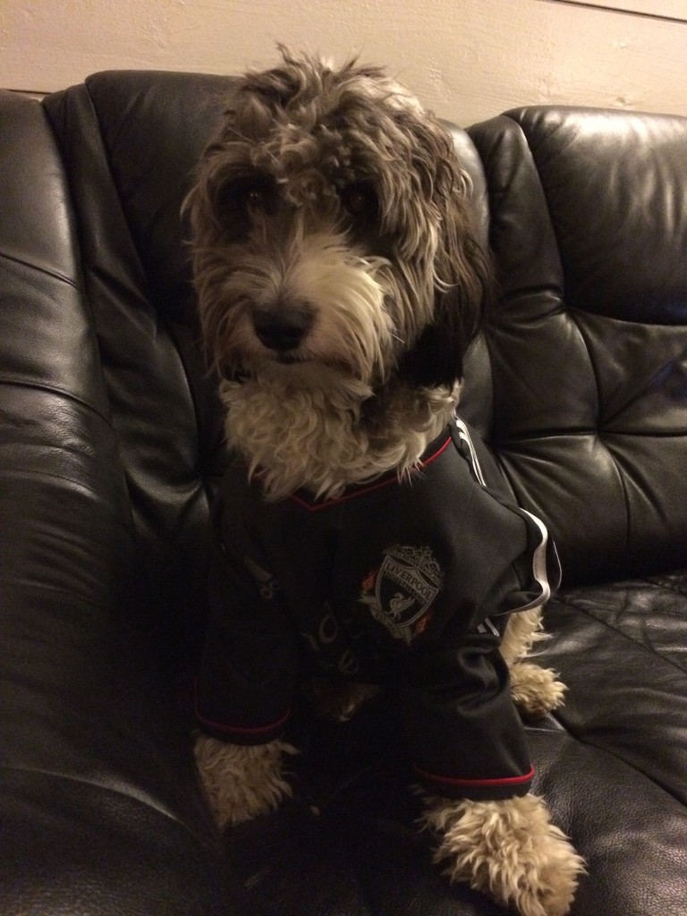 Bror er Liverpool fan...
