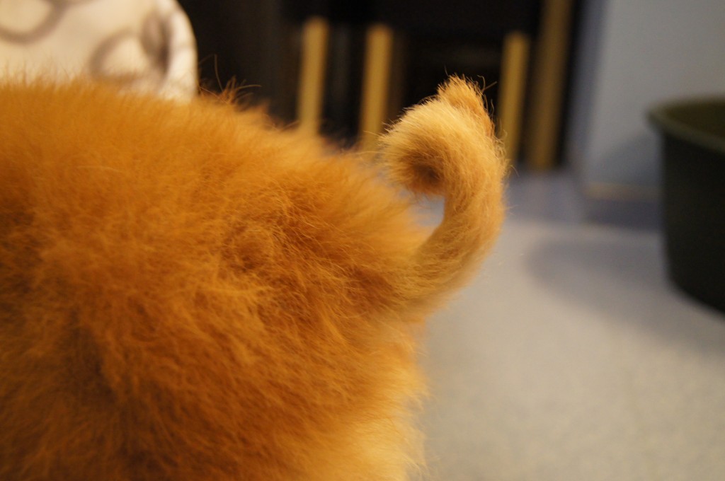 SONY DSC