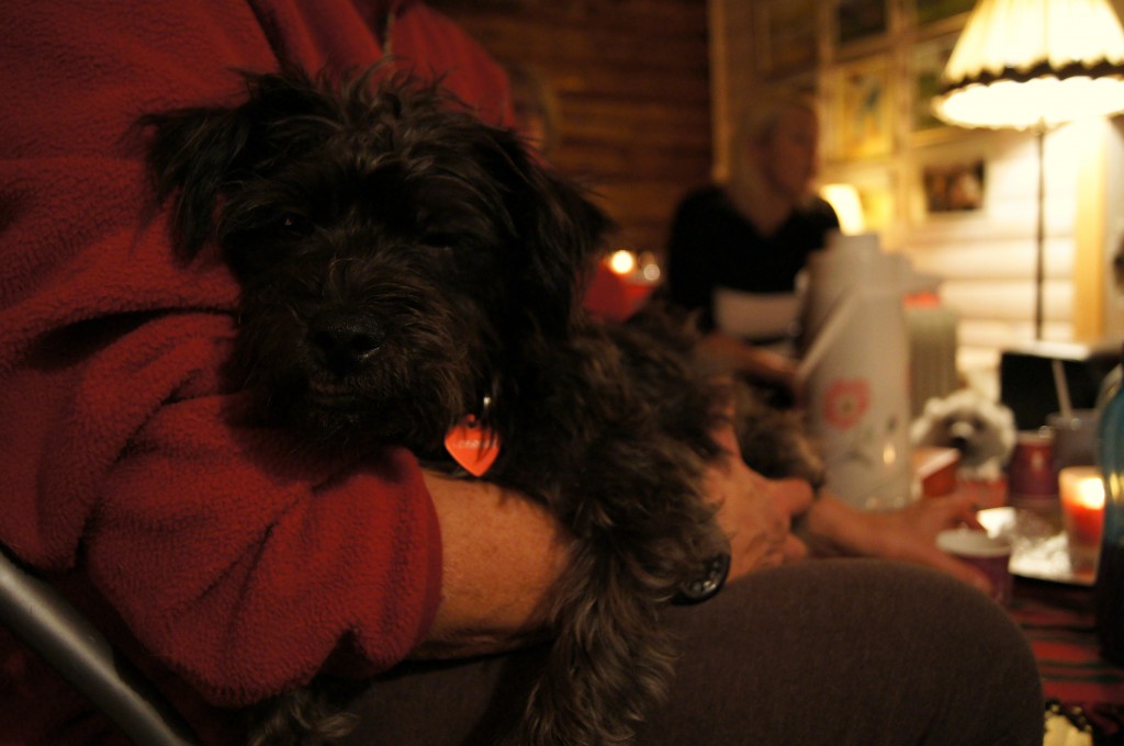 SONY DSC