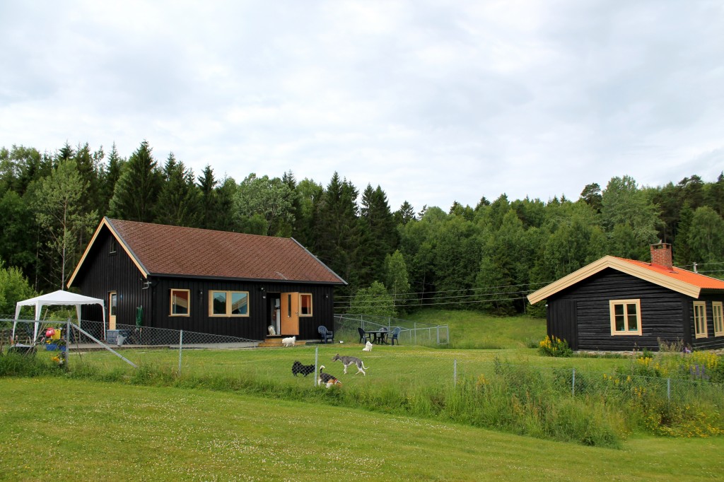 Solplassen (2)