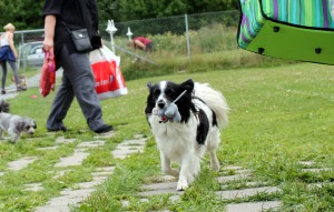IMG_6911