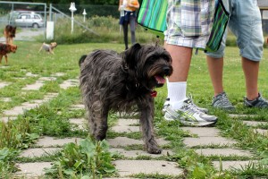IMG_6980