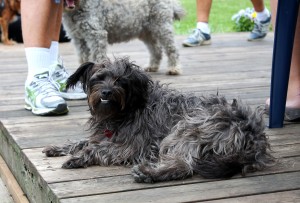 IMG_7275