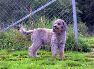 DSC04900.ARW