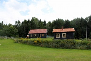 IMG_8451