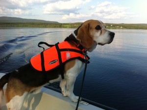 Charlie (2)