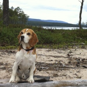Charlie (3)