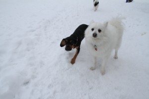 Tara og Theo liker å være ute i snøen og leke.