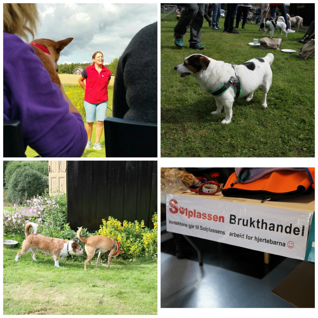 PicMonkey Collage (2)