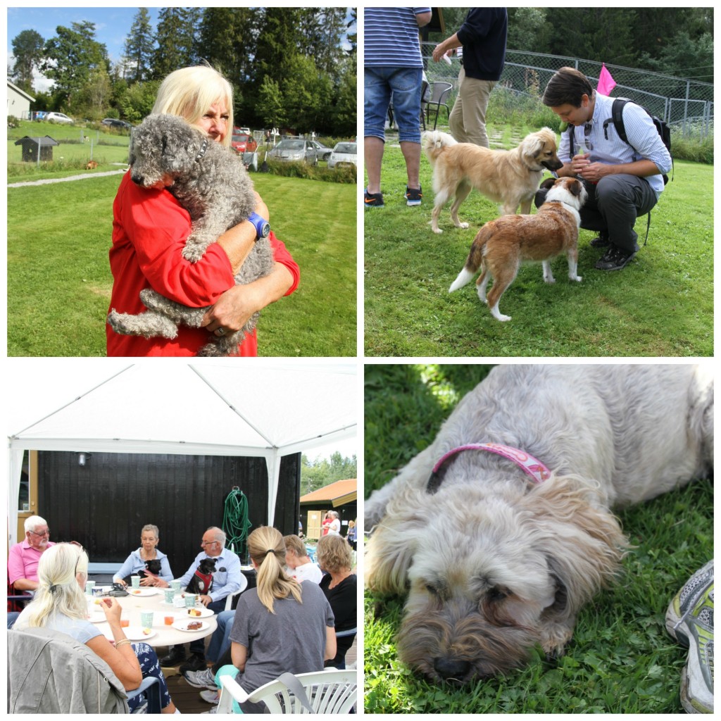 PicMonkey Collage 2
